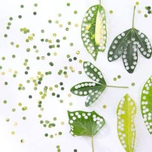 Confeti astuces feuilles décoration fête
