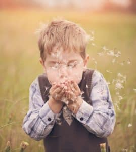 4 saisons expliquées aux enfants