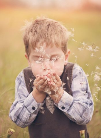 4 saisons expliquées aux enfants