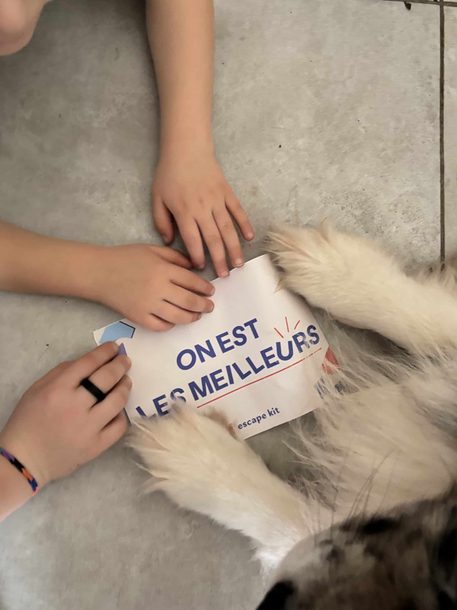 Grande Patrouille – Image 8