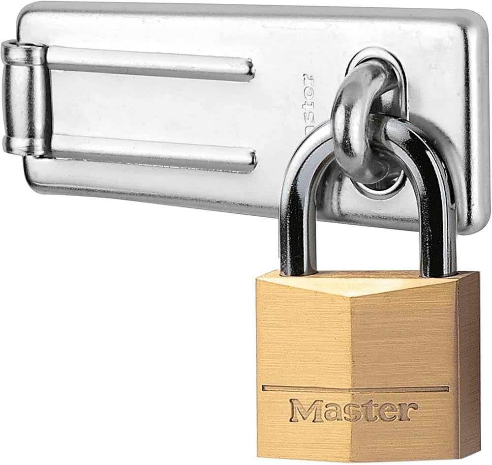 Door hasp that takes several padlocks at once